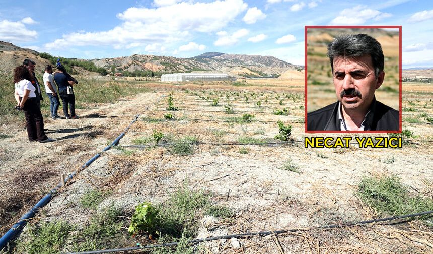 120 dekarlık verimsiz arazi tarımsal üretim tesisine dönüştü