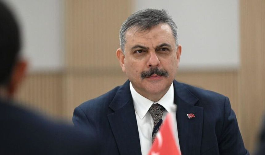 Türkiye'deki sokak hayvanlarının yüzde 99,7'sinin toplandı
