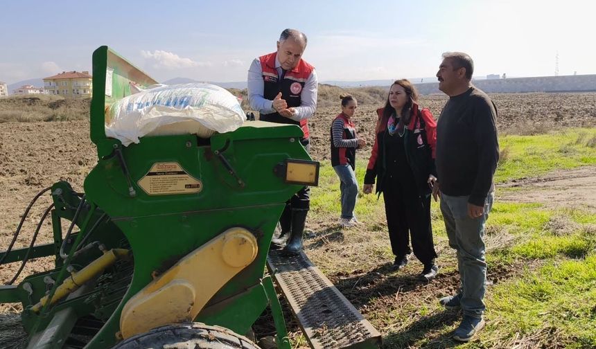 Çorum'un bu köyünde hem ekim  hem de hasat yapıldı
