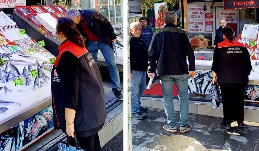 Çorum'da balık satış noktaları denetlendi