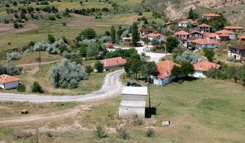 Çorum'da iki köyde hazine arazileri satışa çıkarıldı