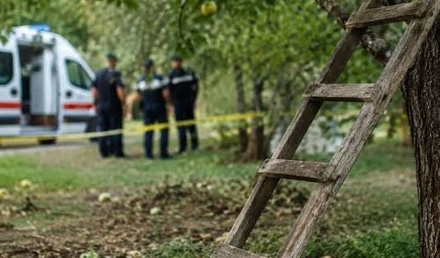 Çorum'da ağaçlardan düşen 7 kişi yaralandı