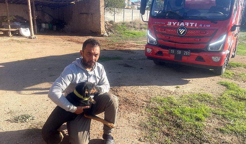 Su kuyusuna düşen köpek itfaiye ekiplerince kurtarıldı