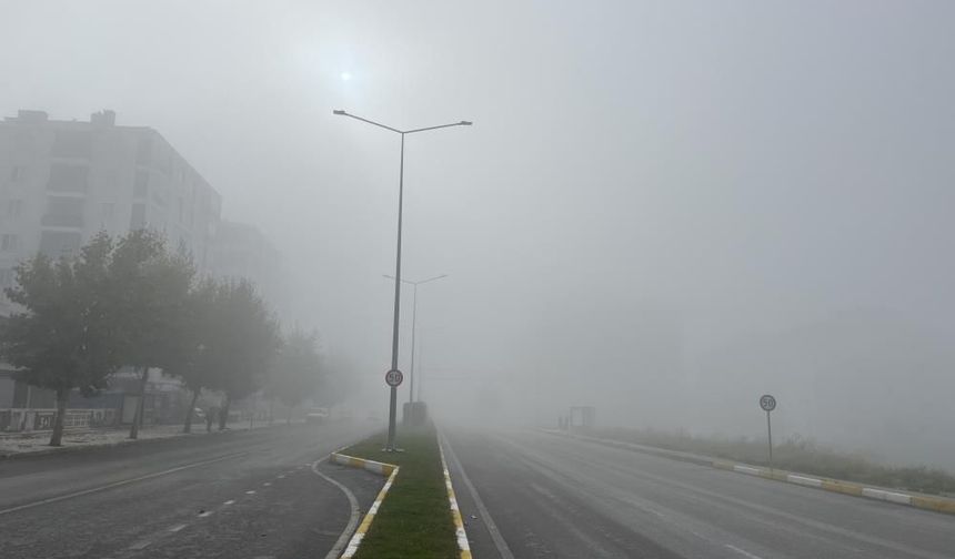 Çorum'da göz gözü görmedi!
